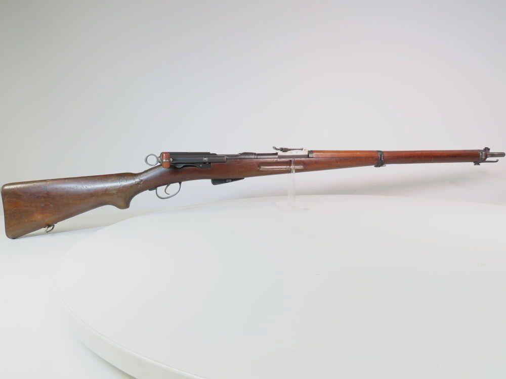 Bern Arms Factory Long Rifle 96 - 11
