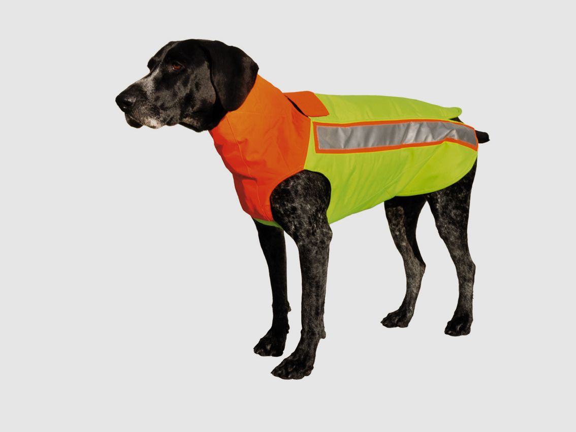 Dog protection vest Hubertus - orange, tear and thorn resistant