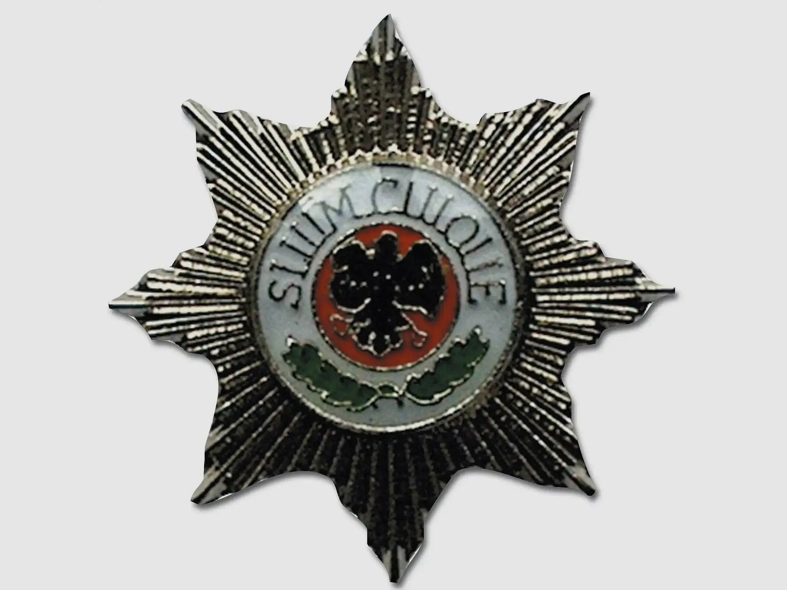 ASMC ASMC Pin Mini Metalowa Odznaka Polowa