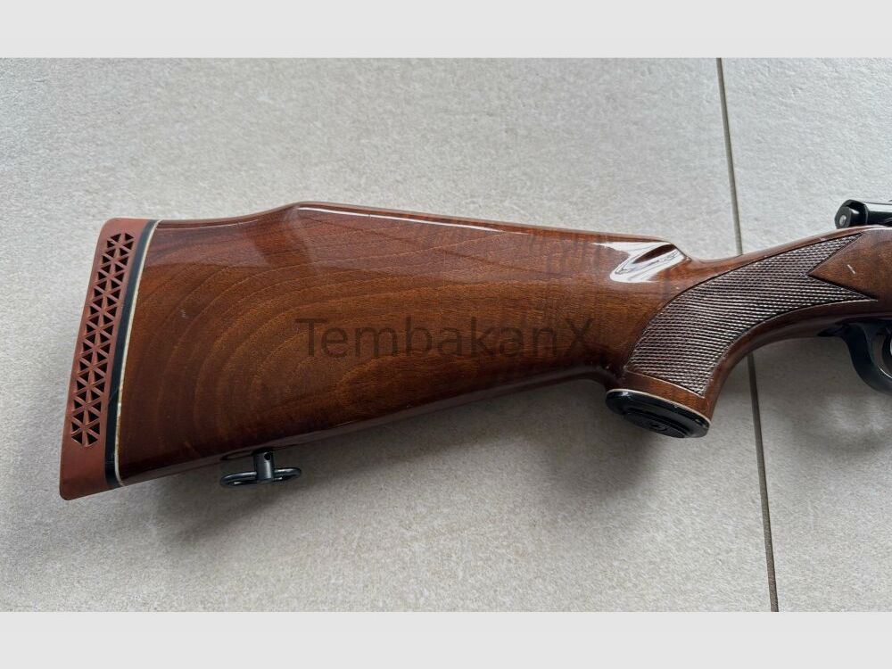 Interarms Marx X .30-06Spring