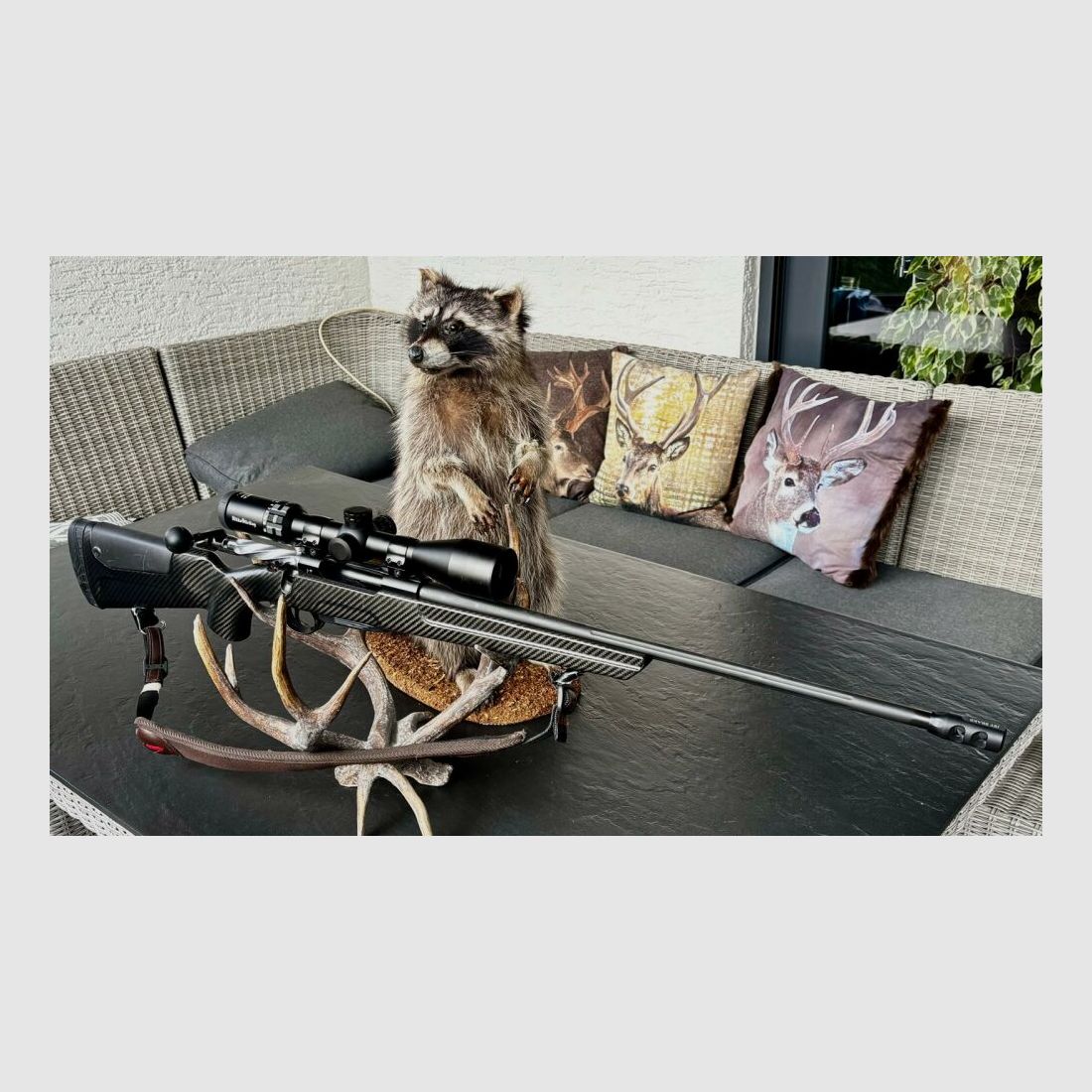 Sabatti Mercury Rover Carbon