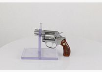S&W 60