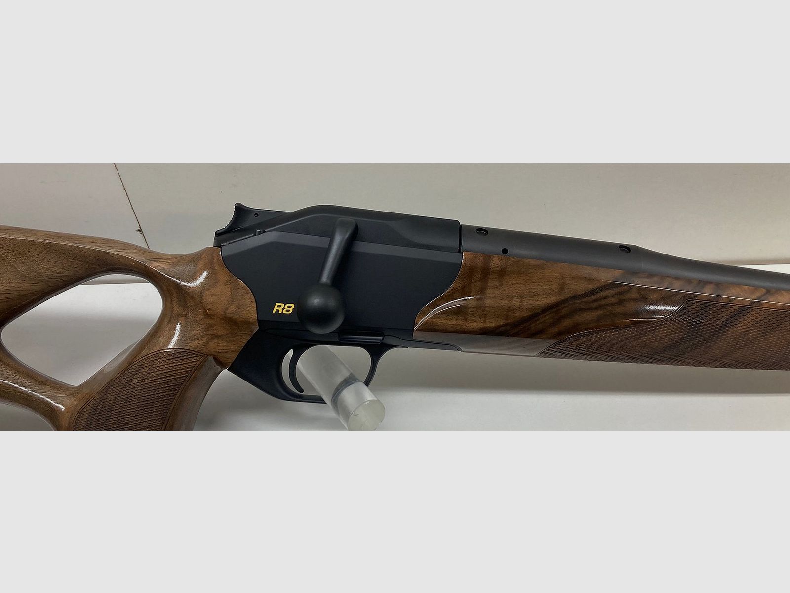 Blaser R8 Success