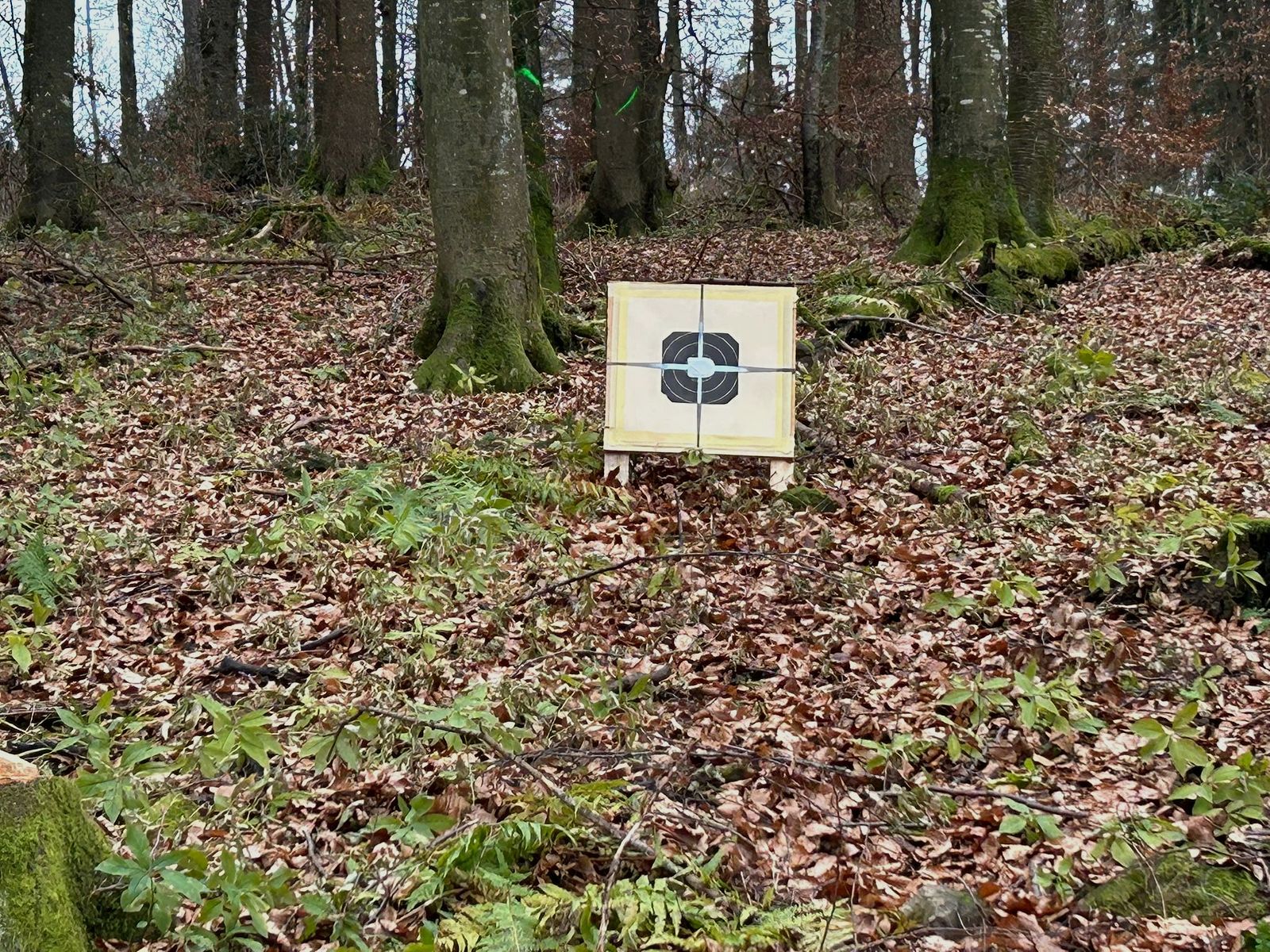 Blaser B95 avec canon interchangeable 5.6 ×52 et Kahles - comme neuf -