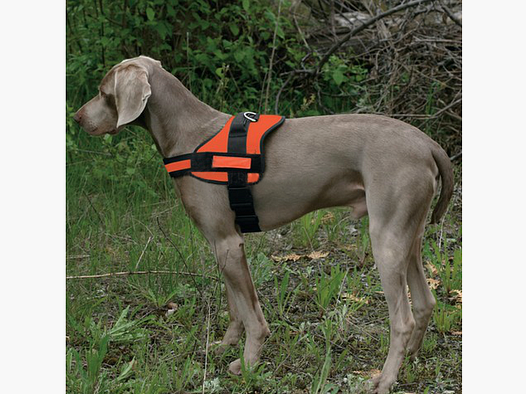 Hunde-Geschirr Profi