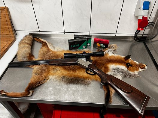 Blaser BBF Bockbüchsflinte 7x57R 16/70 Handspannung Stecher