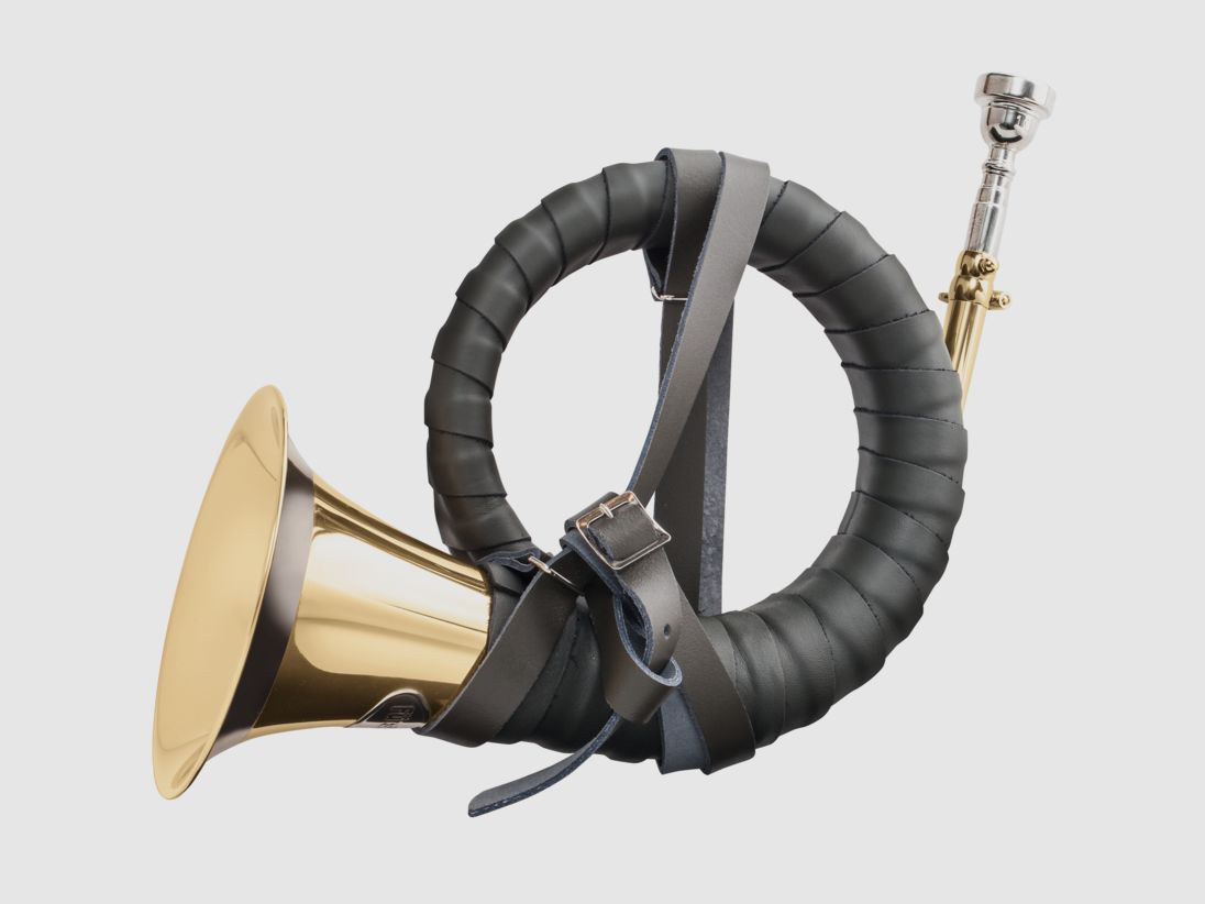 Prince-Pless-Horn de Luxe