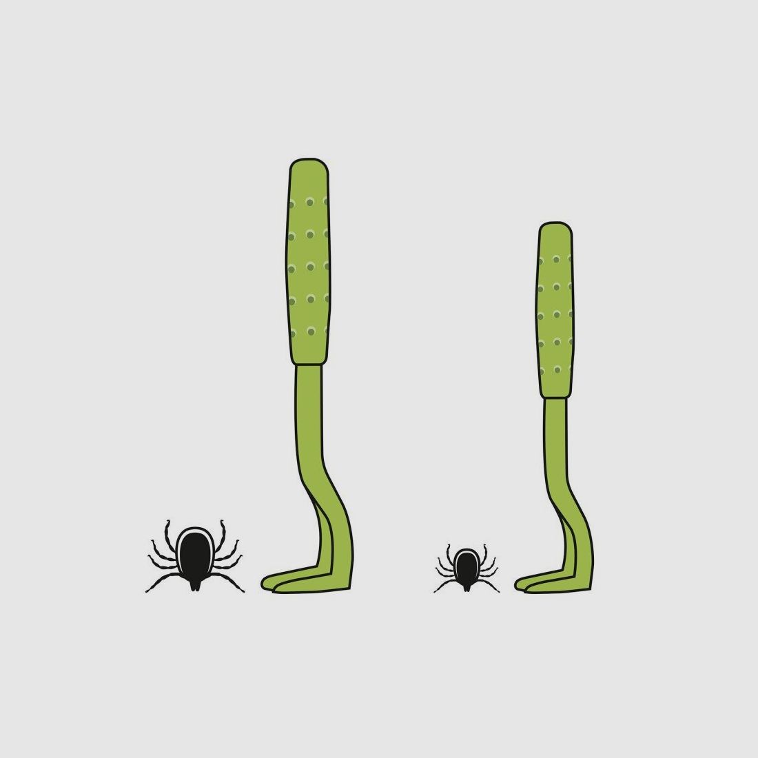 Hunter Zeckenhaken Ajka 2er Set