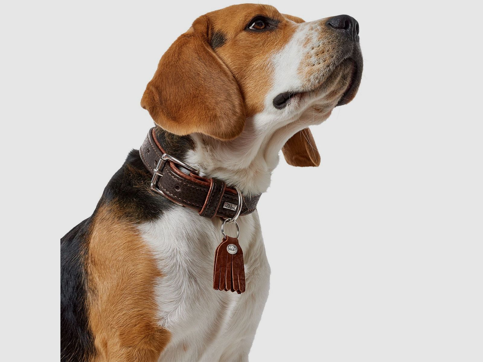 Hunter Halsband Cody aus Bisonleder