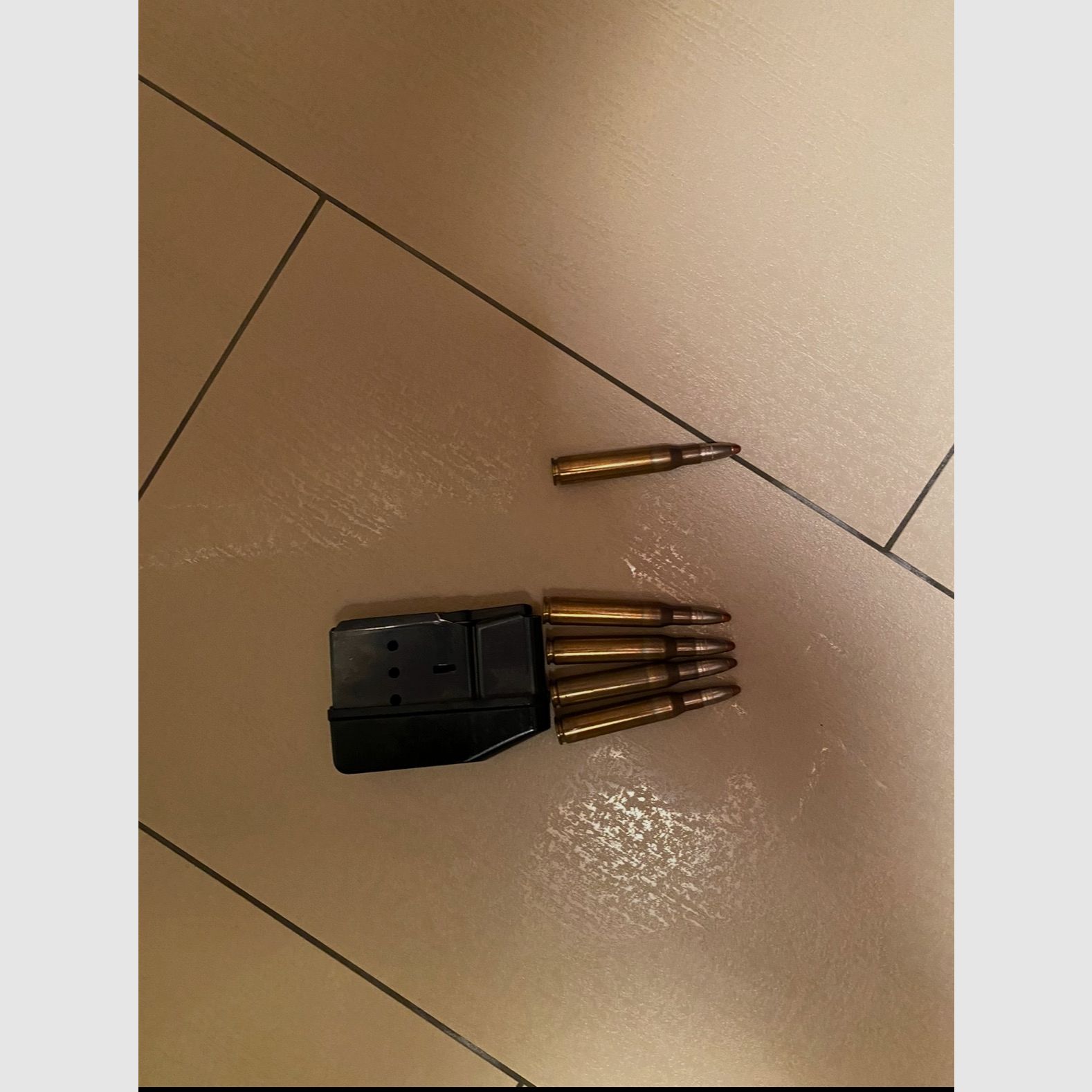 Sauer 202 8x68S mit Zeiss Victory Variopoint 3-12x56T mit Balistikturm