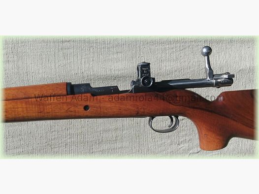 Mauser Carl Gustaf M.63, Söderin Diopter, Adlerauge