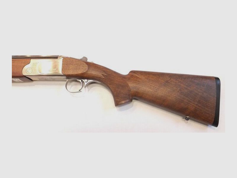 Rottweil used weapon Paragon