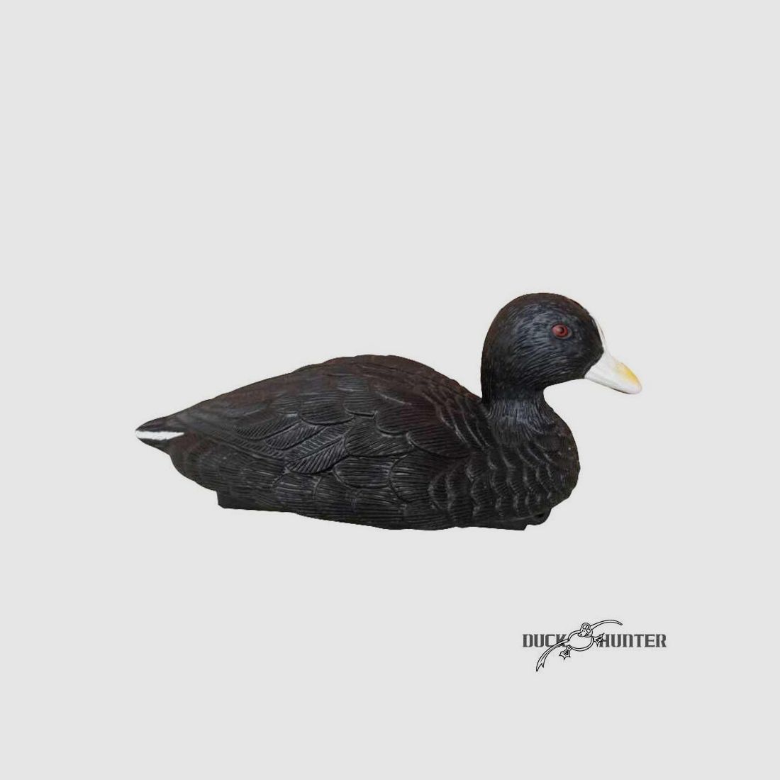 Forme de foulque