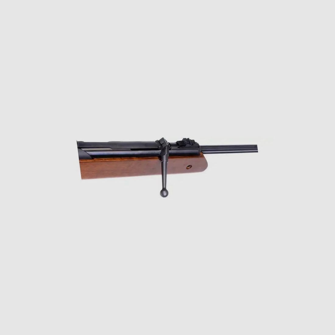Luftgewehr, Diana Oktoberfest