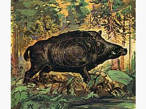 A Hannover/Anderten il 12.09.2023, 13-16:00 seminario chiuso di colpo di grazia arma corta set/2019