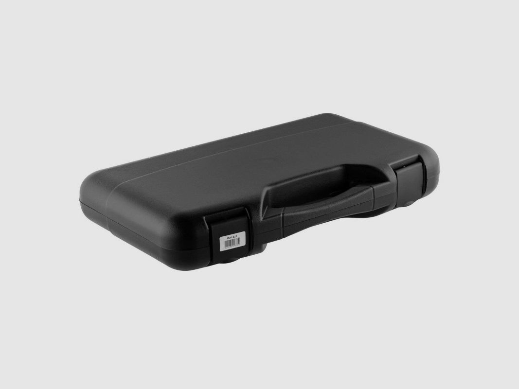 Gun case for 2 handguns in polypropylene, image 3 of 3