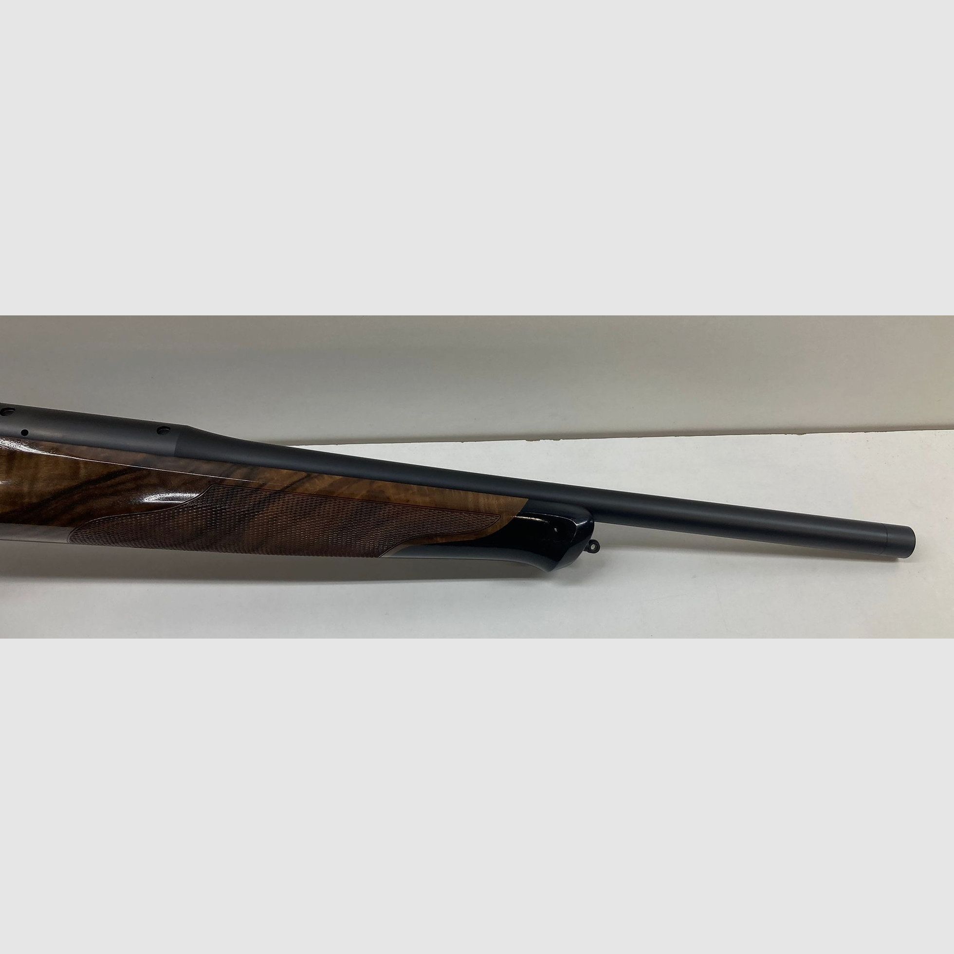 Blaser R8 Success