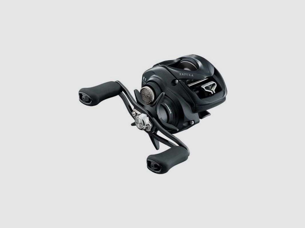 DAIWA TATULA 2023 TW 100 HL MOLEN