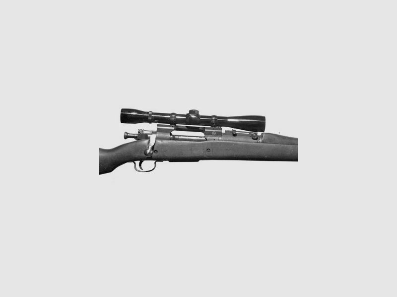 Insta Mount Springfield 1903, immagine 2 di 2