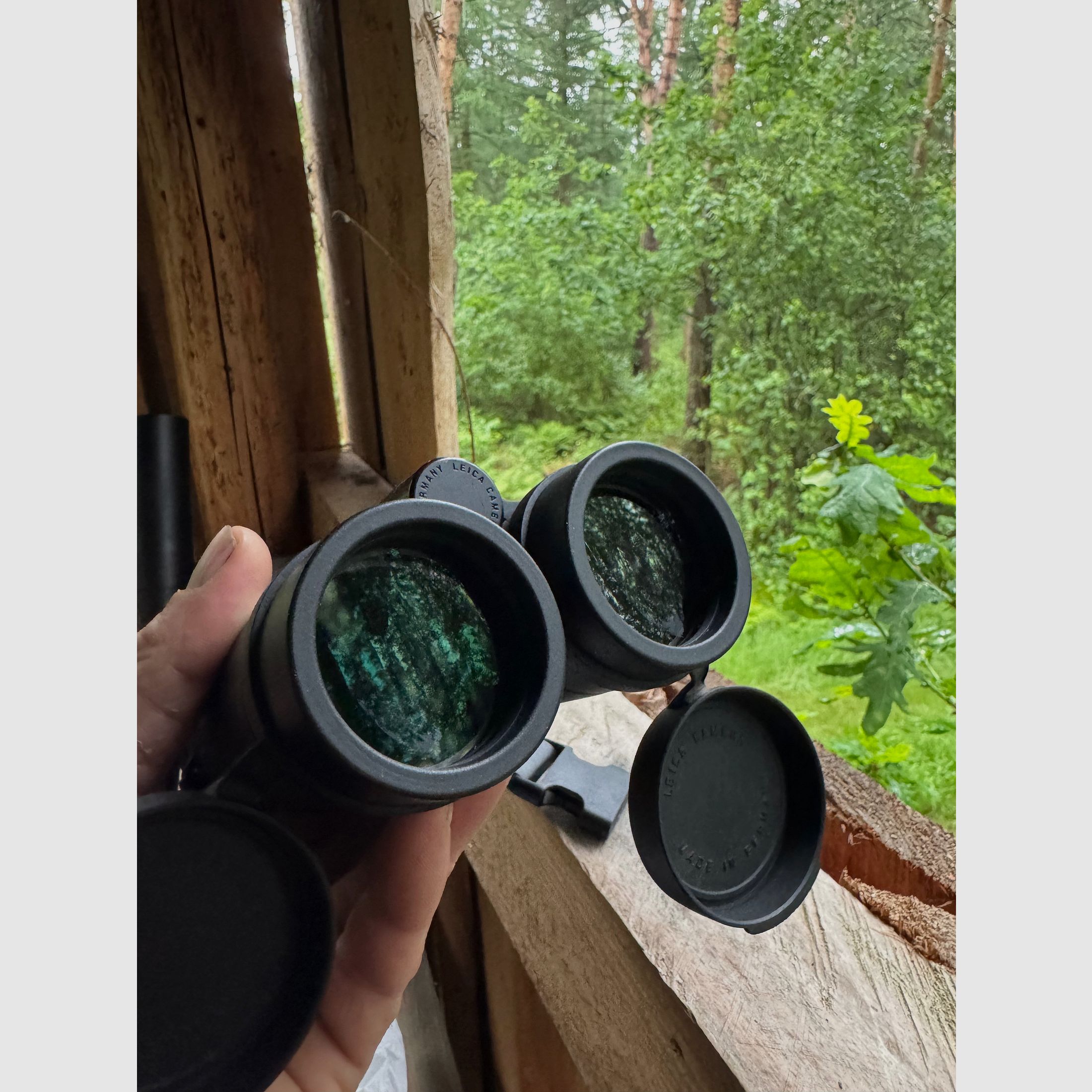 Leica ultravid hd 10&42