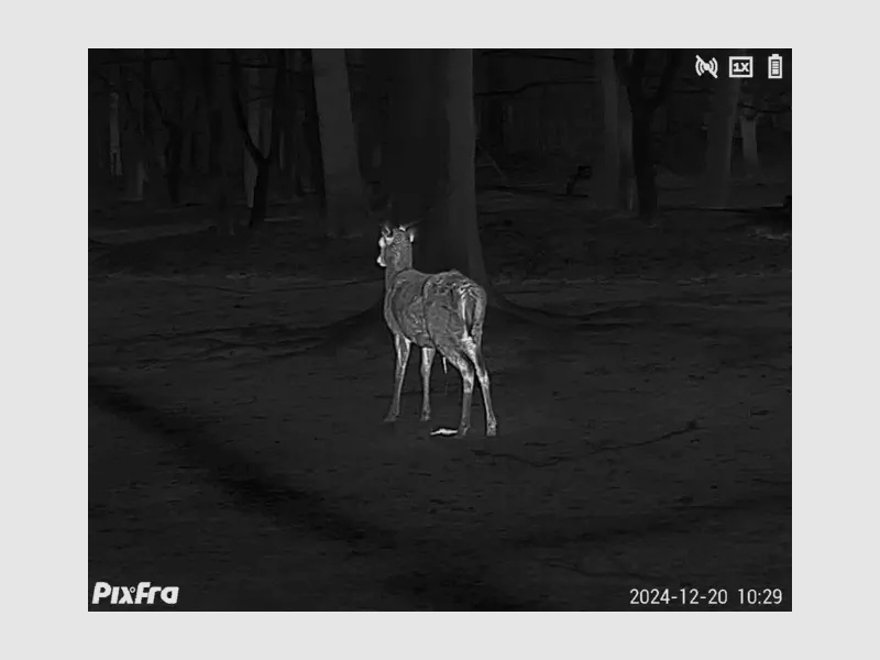 Pixfra Wärmebildmonokular Sirius S650D