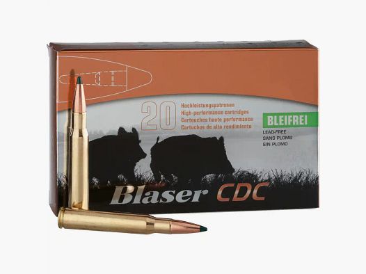 .300 Blaser Magnum (11,7 g/180 gr Barnes TTSX · BC 0,484)