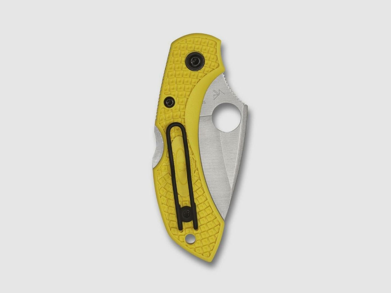Spyderco Dragonfly 2 SALT Plain, image 3 of 3