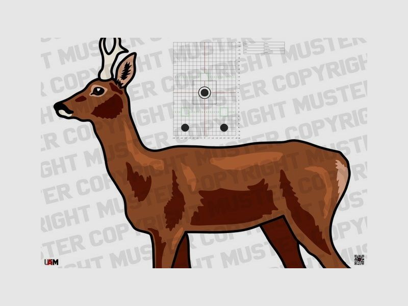 Hunting Target Rehbock DIN A1 Realistische Zielscheibe fr przises Schiet...
