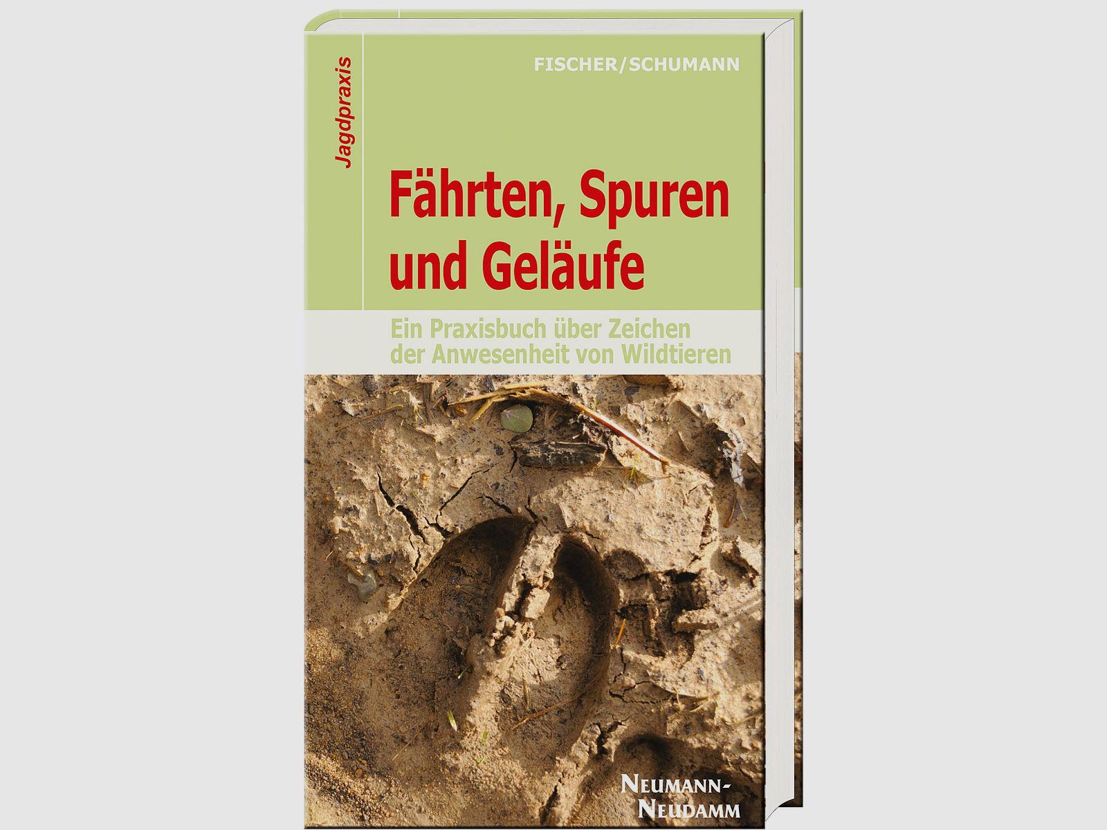 Fhrten, Spuren und Gelufe Ein Praxisbuch ber Zeichen der Anwesenheit von Wildtieren