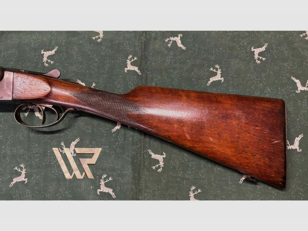 Fosil Robust Brevek - 12/65