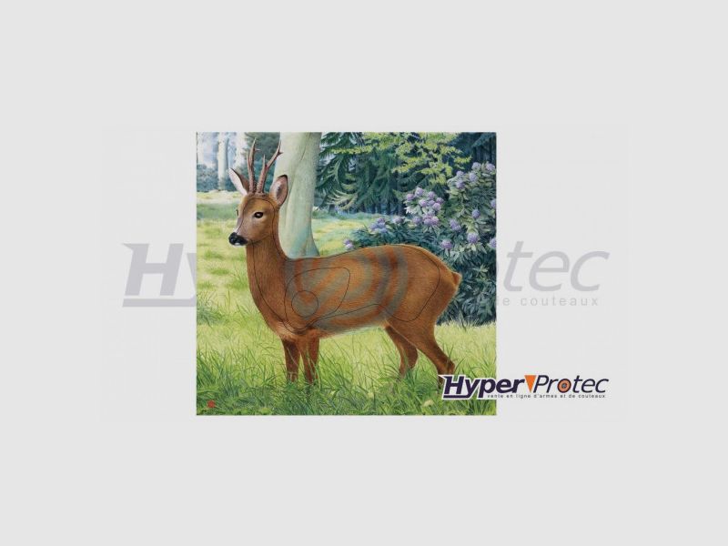 Poster Stemma di Tiro con l'Arco Cervo colore 78x79 cm, immagine 1 di 2