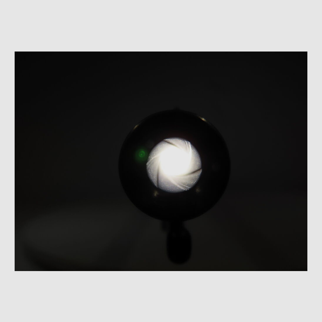 Schmidt Rubin 1889 Infanteriegewehr