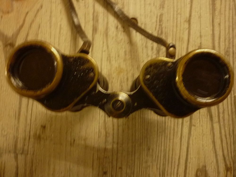 Hensold	 6x30-Dienstglas