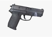 Sig Sauer SP 2009 9mm Luger Pistolet