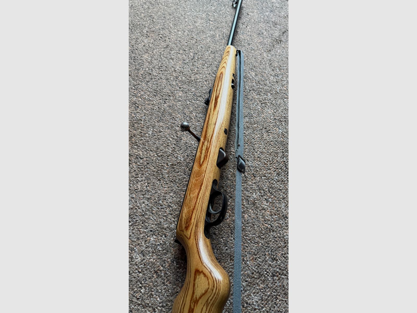 Haenel 310 Q1