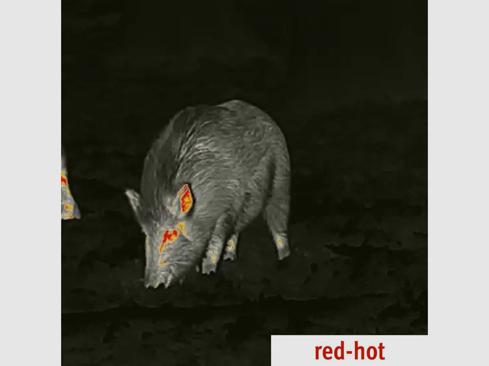 Óptica térmica Lahoux Horus Elite