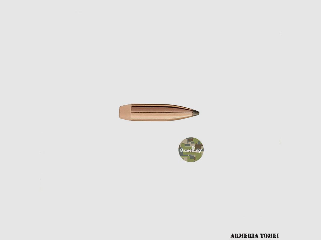 SIERRA – PALLE – GAMEKING 6MM .243 DIA. 100GR SBT (100PZ)