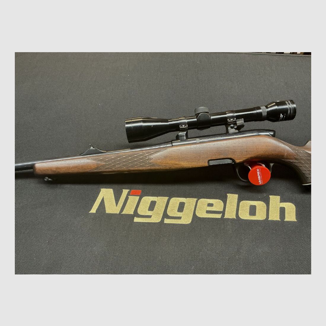 Steyr Without .243Win
