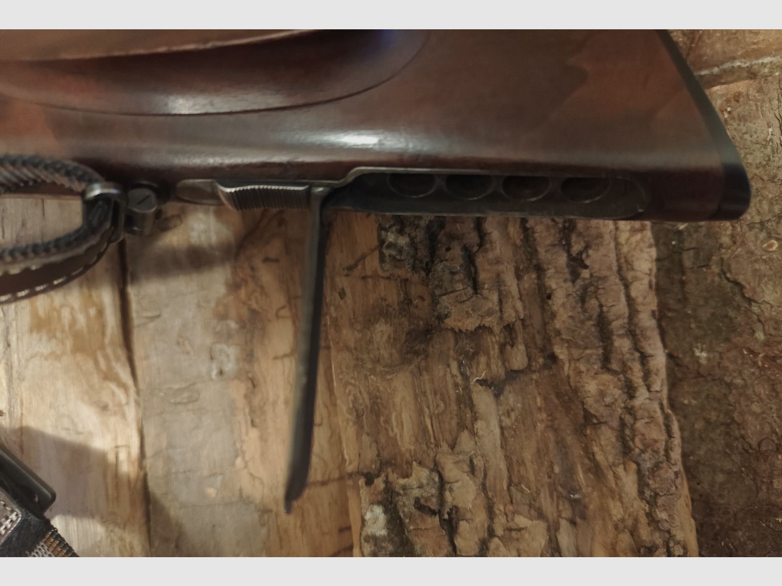 Sauer and Son Drilling