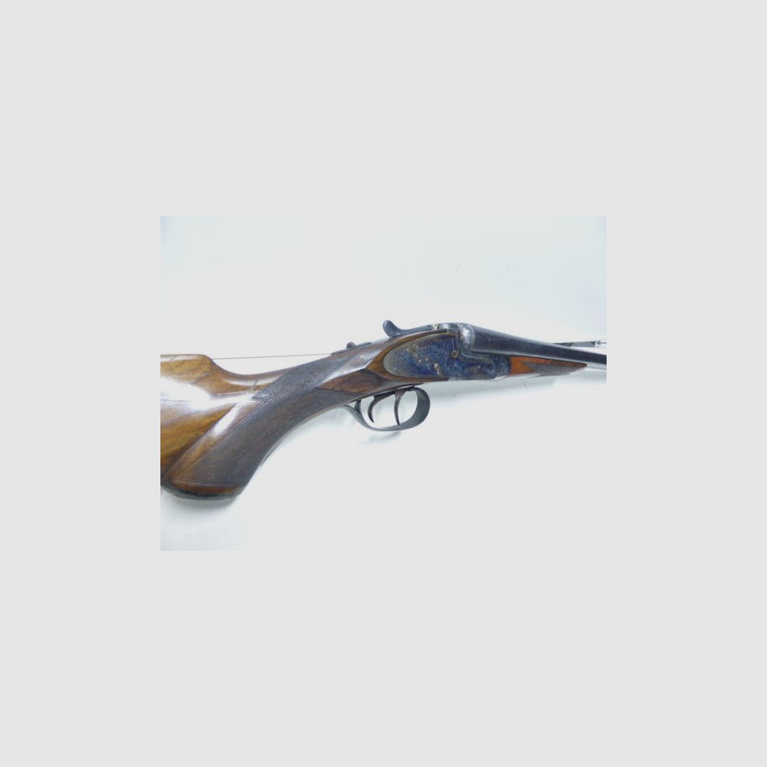 Aya-Spain	 Jagd