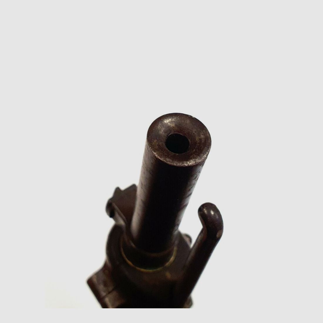 Fabbrica d'Armi Bern Fucile d'Infanteria 1889, Cal. 22L.r.