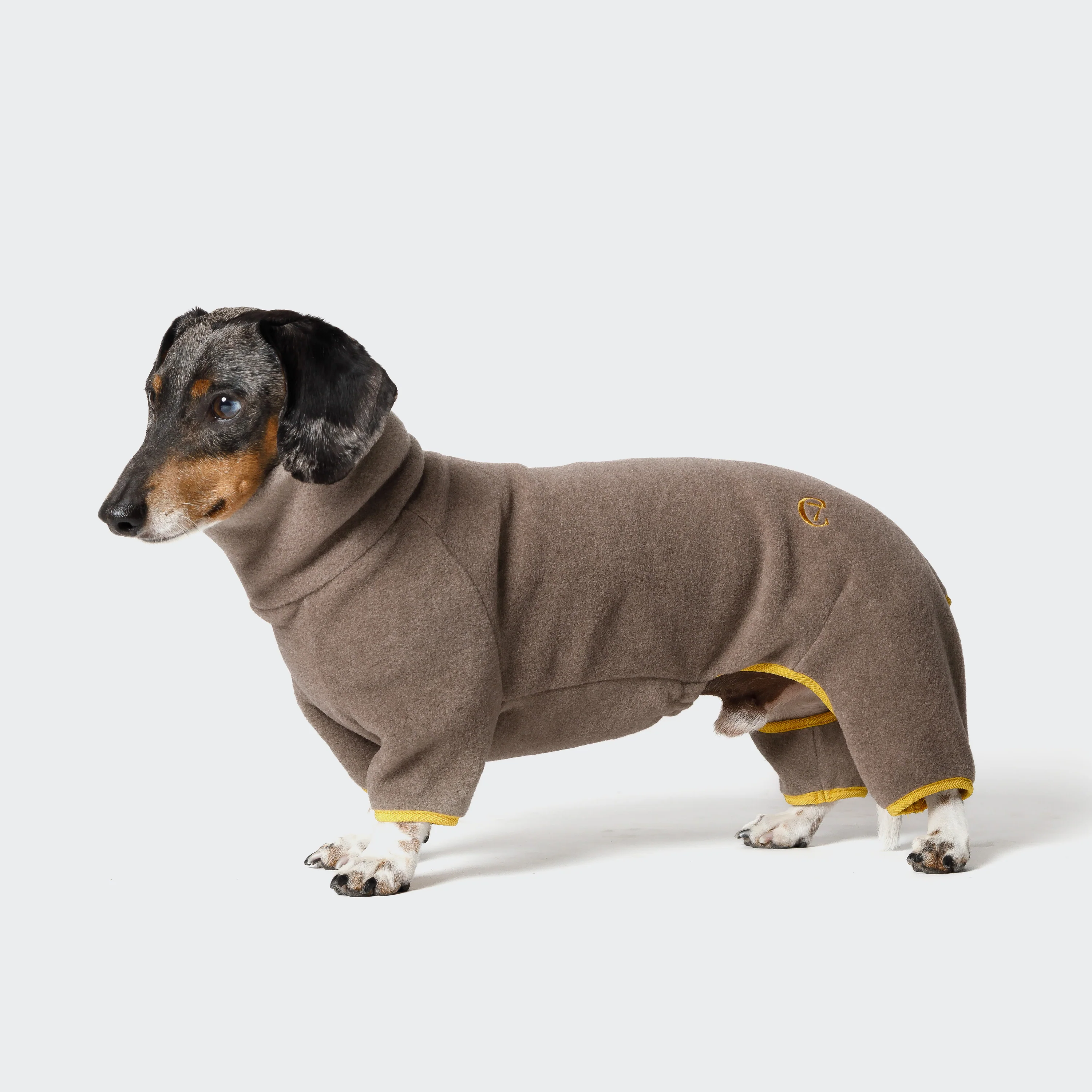 Pull pour Teckel Fleece Cornwall Toffee