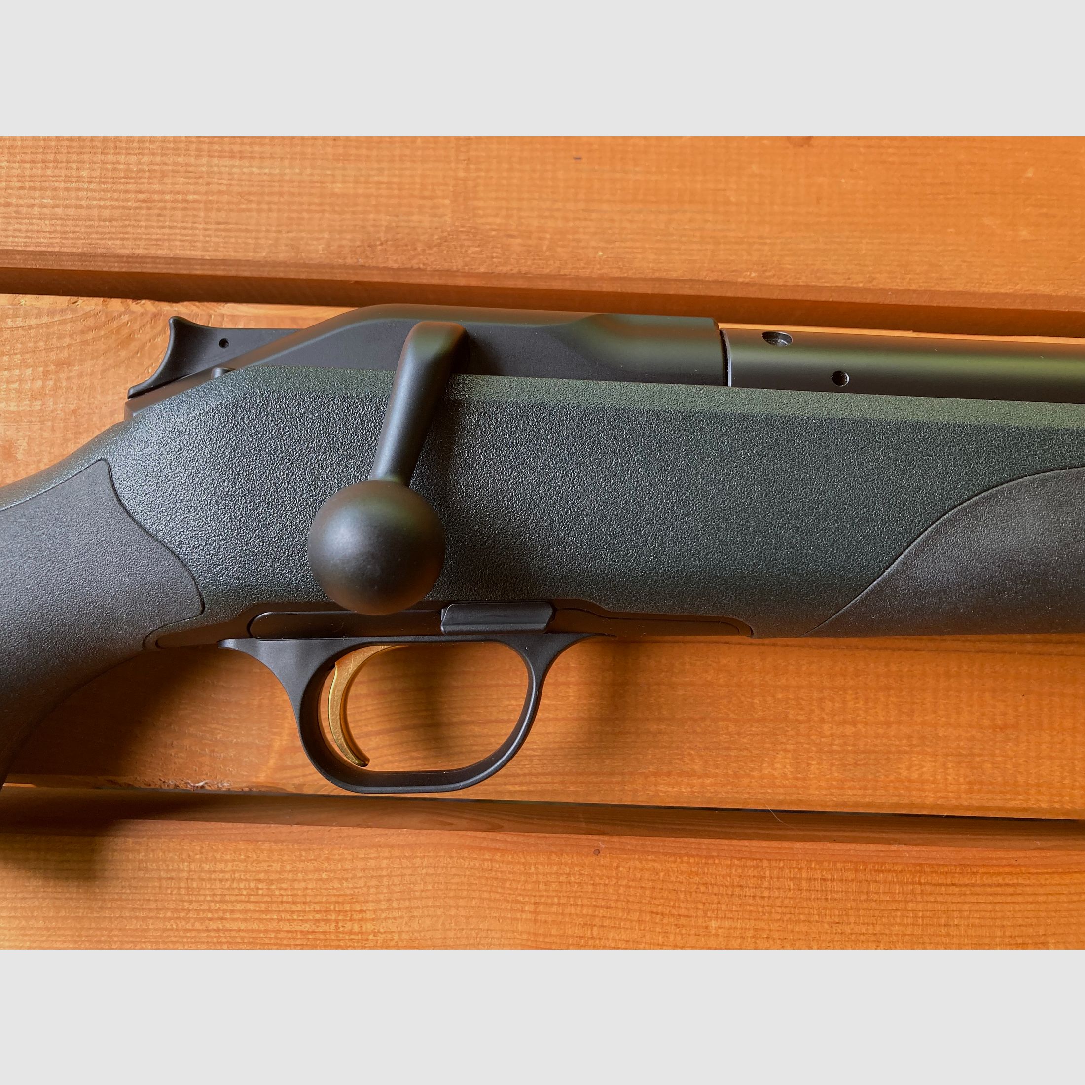 Blaser R8 Professional .308 Win.