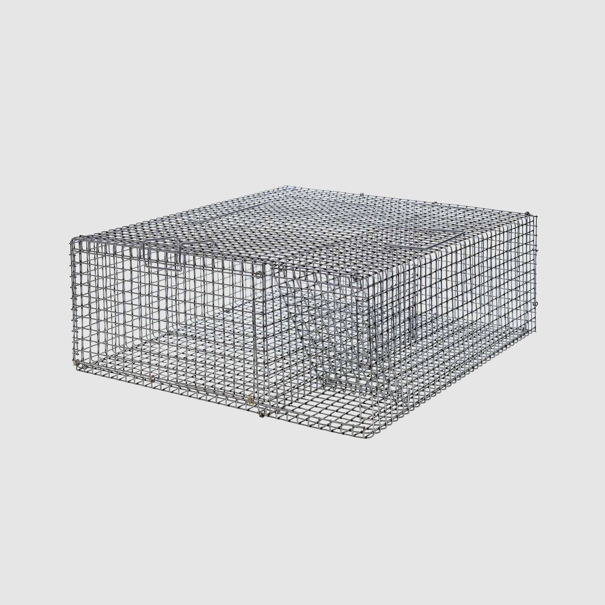 Cattura di massa per ratti zincata