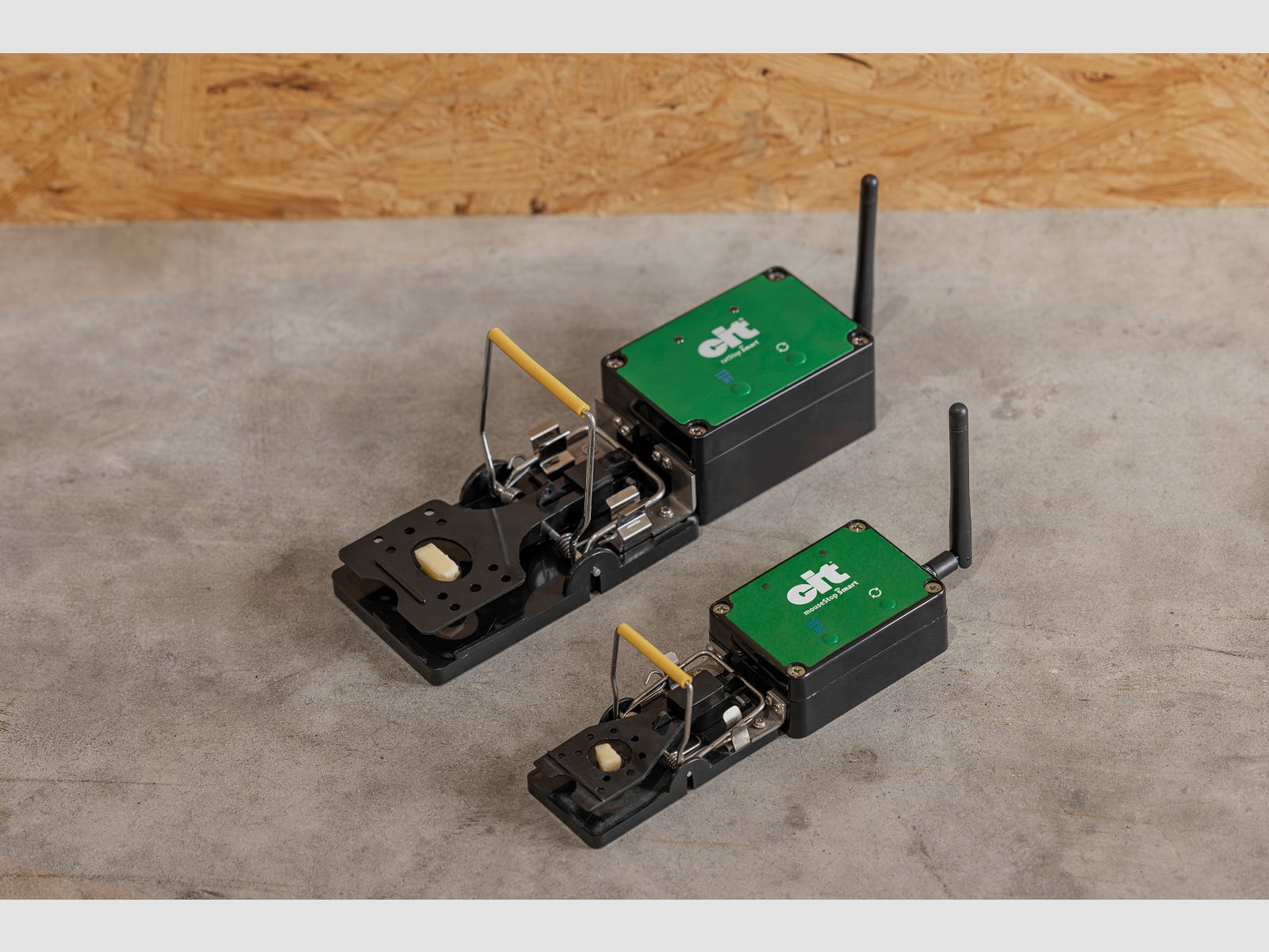 WLAN Mausfalle smart