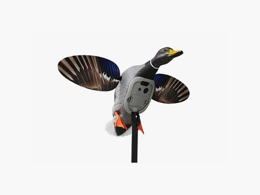 Mojo King Mallard Elite Series – Kręcąca się Kaczka z akumulatorem Li-ion 6V
