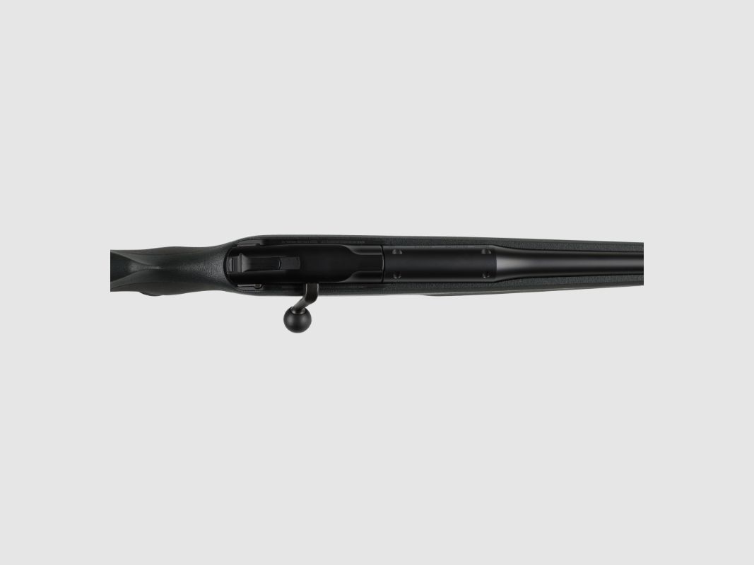 Blaser R8 .308Win, image 3 sur 3