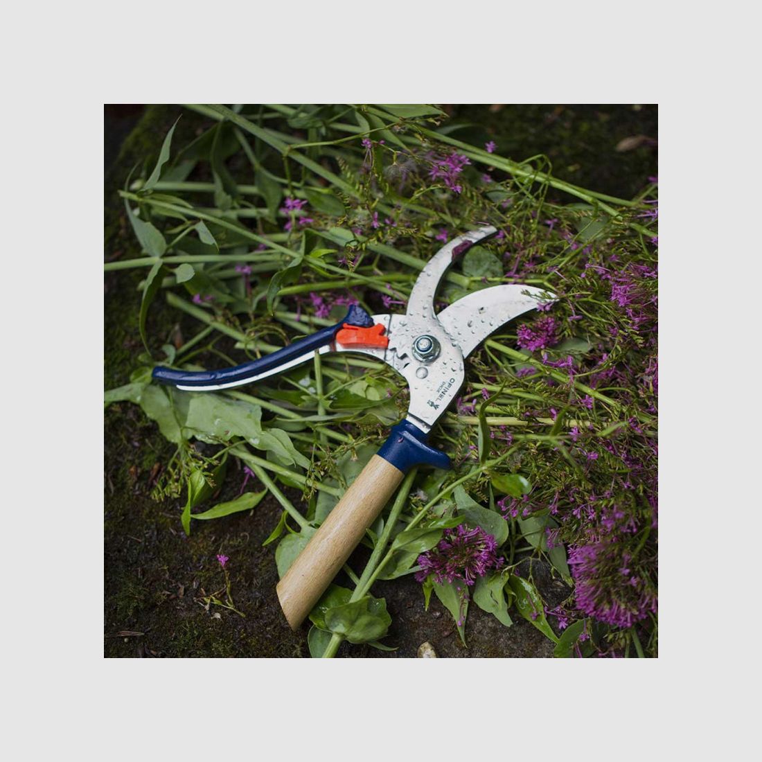 OPINEL ARDOISE GARTENSCHNEIDER, Bild 5 von 8