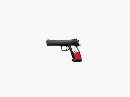 CZ TS 2