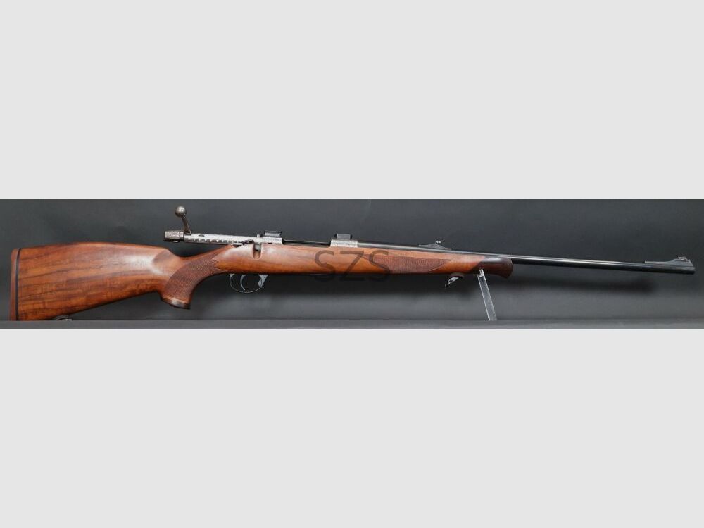 Zoli AZ1900 Luxus